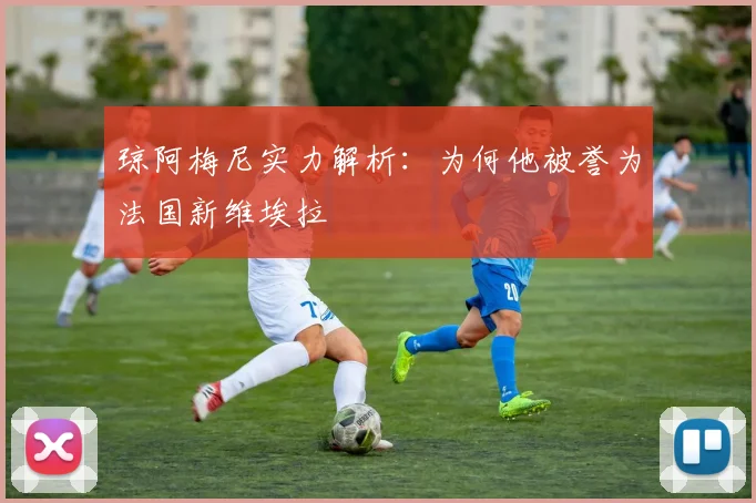 琼阿梅尼实力解析：为何他被誉为法国新维埃拉